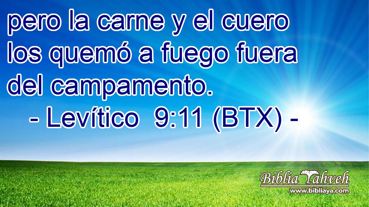 pero la carne y el cuero los quemó a fuego fuera del campamento.
