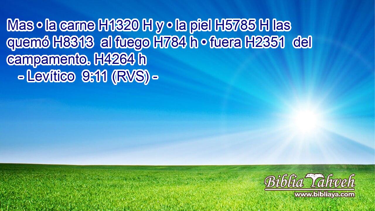 Mas • la carne H1320 H y • la piel H5785 H las quemó H8313  al fuego H784 h • fuera H2351  del campamento. H4264 h 