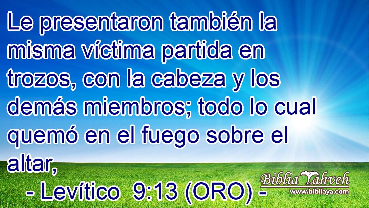  Le presentaron también la misma víctima partida en trozos, con la cabeza y los demás miembros; todo lo cual quemó en el fuego sobre el altar, 