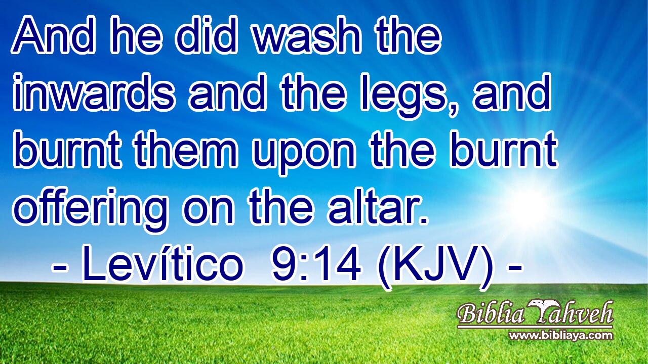 And he did wash the inwards and the legs, and burnt them upon the burnt offering on the altar.