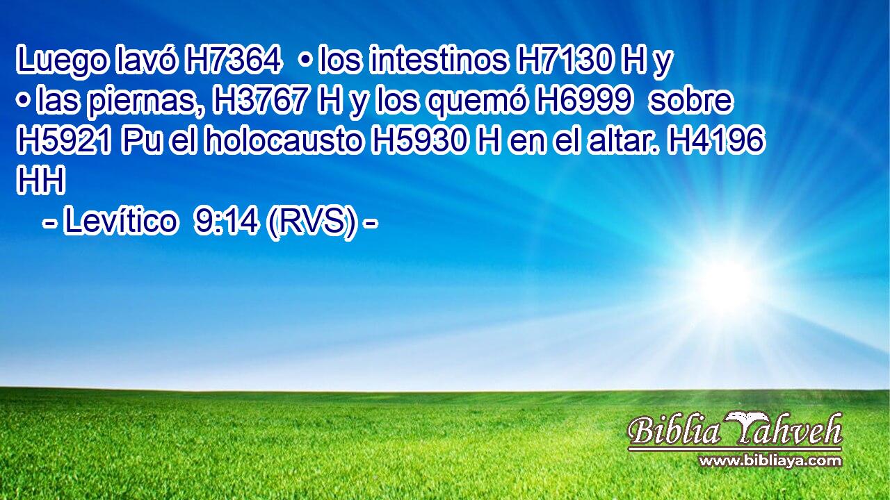 Luego lavó H7364  • los intestinos H7130 H y • las piernas, H3767 H y los quemó H6999  sobre H5921 Pu el holocausto H5930 H en el altar. H4196 HH 