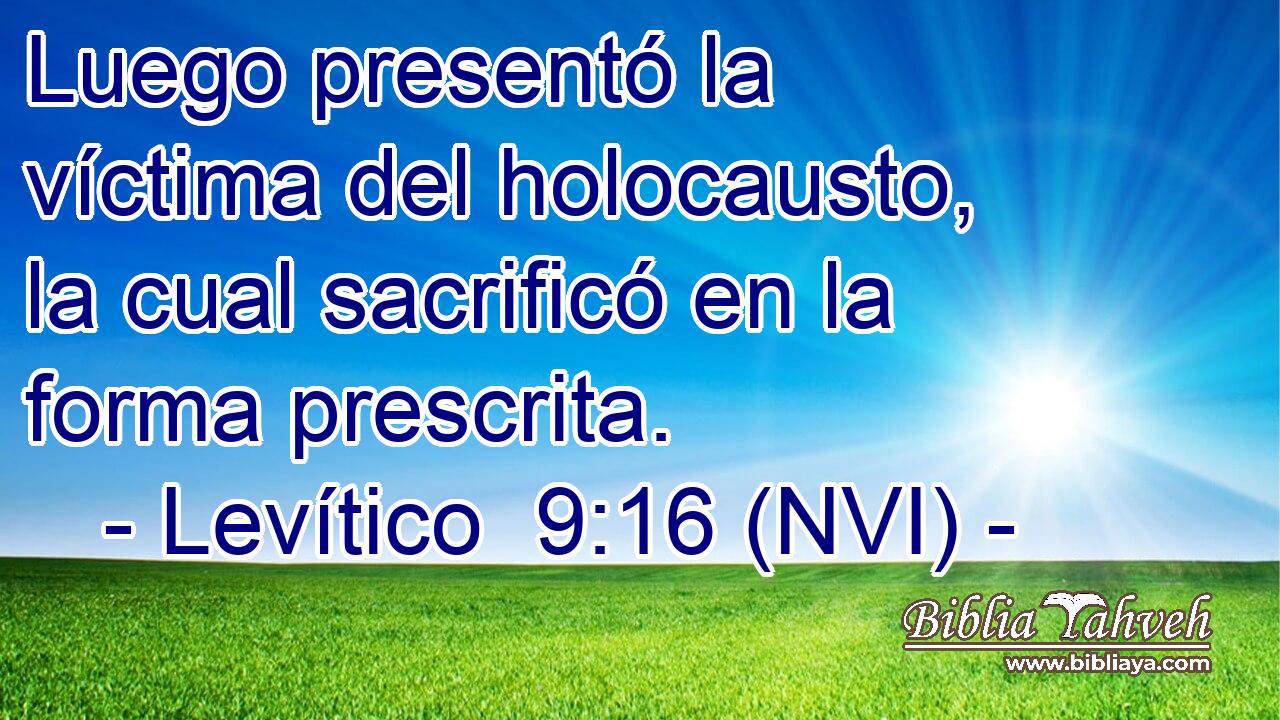  Luego presentó la víctima del holocausto, la cual sacrificó en la forma prescrita. 