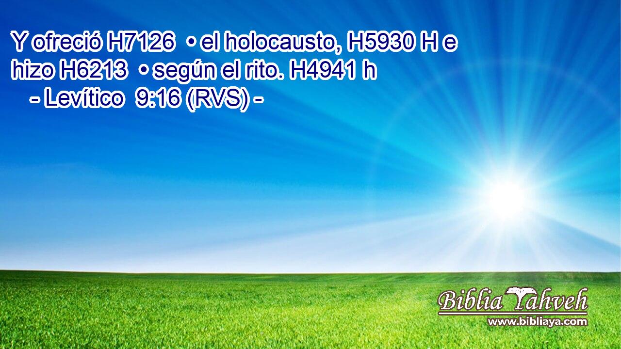 Y ofreció H7126  • el holocausto, H5930 H e hizo H6213  • según el rito. H4941 h 