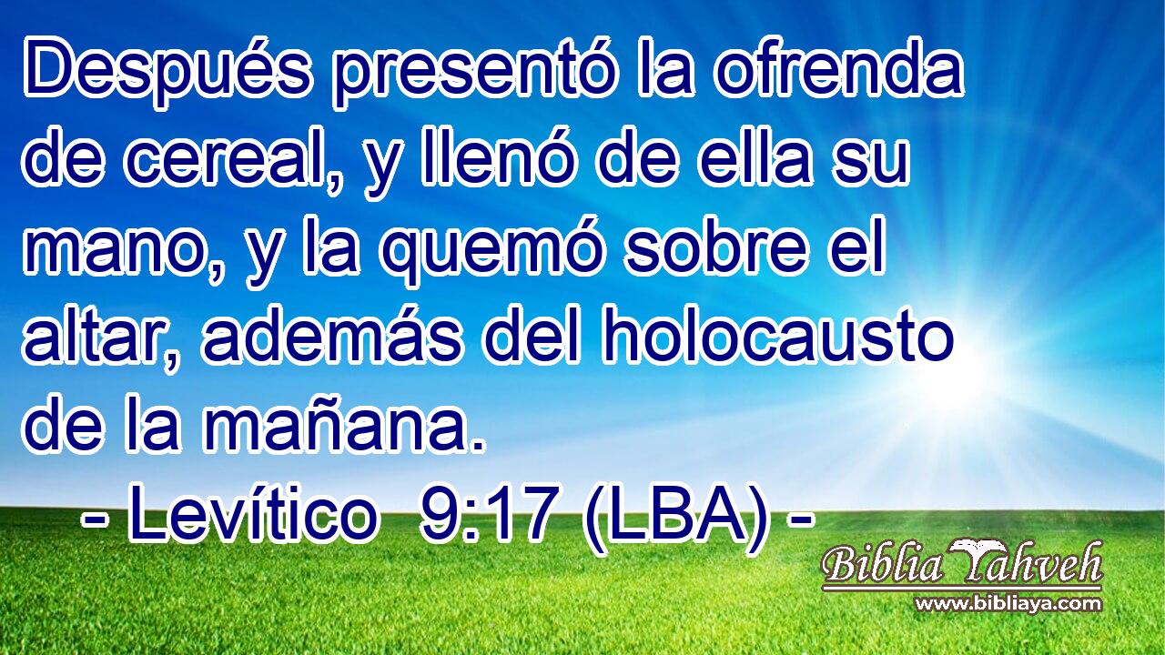 Después presentó la ofrenda de cereal, y llenó de ella su mano, y la quemó sobre el altar, además del holocausto de la mañana.