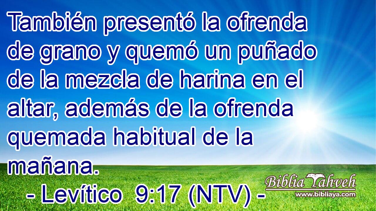 También presentó la ofrenda de grano y quemó un puñado de la mezcla de harina en el altar, además de la ofrenda quemada habitual de la mañana.