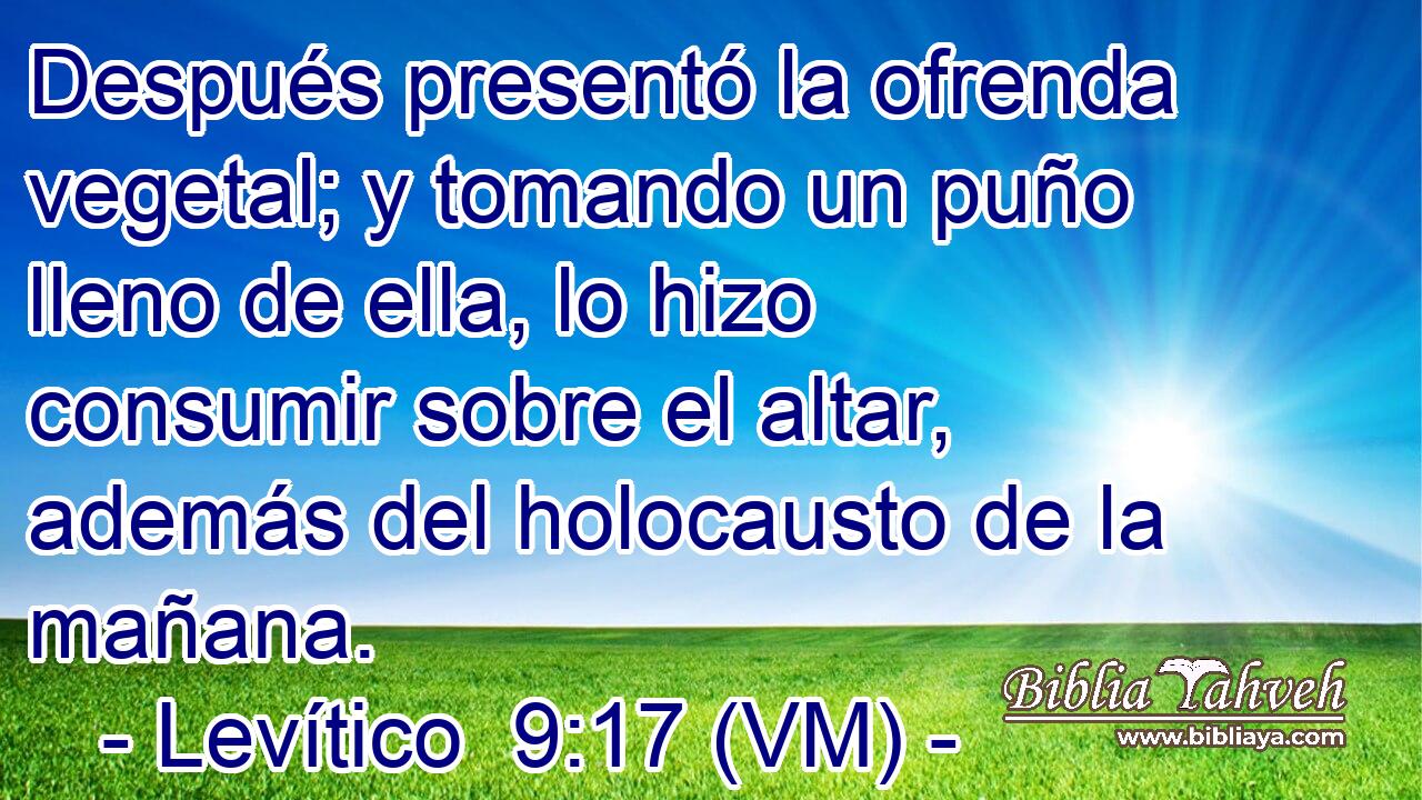  Después presentó la ofrenda vegetal; y tomando un puño lleno de ella, lo hizo consumir sobre el altar, además del holocausto de la mañana. 