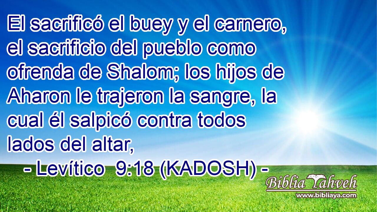  El sacrificó el buey y el carnero, el sacrificio del pueblo como ofrenda de Shalom; los hijos de Aharon le trajeron la sangre, la cual él salpicó contra todos lados del altar, 