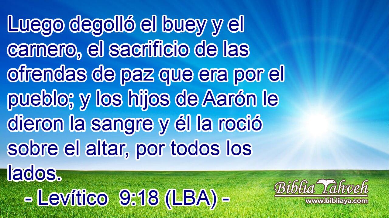 Luego degolló el buey y el carnero, el sacrificio de las ofrendas de paz que era por el pueblo; y los hijos de Aarón le dieron la sangre y él la roció sobre el altar, por todos los lados.
