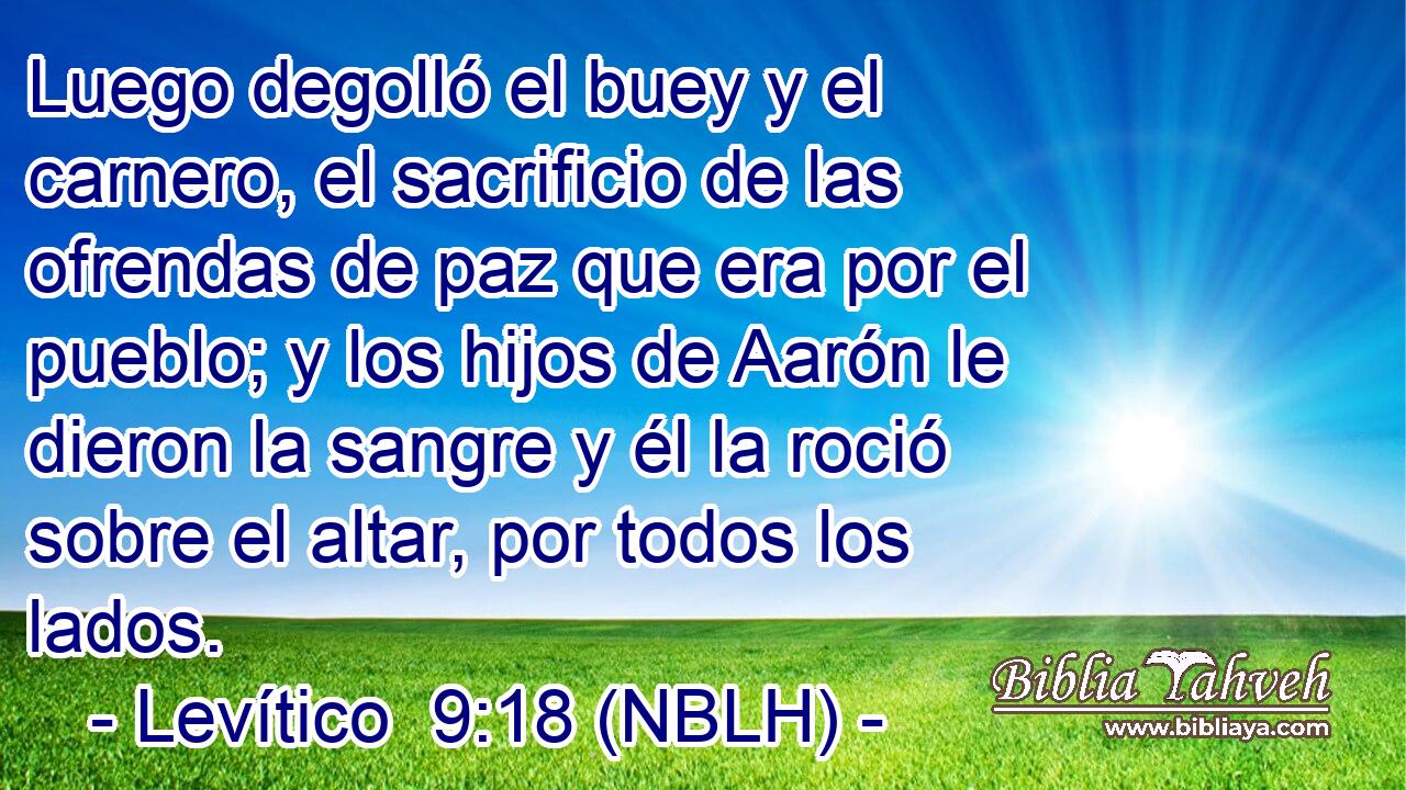  Luego degolló el buey y el carnero, el sacrificio de las ofrendas de paz que era por el pueblo; y los hijos de Aarón le dieron la sangre y él la roció sobre el altar, por todos los lados. 