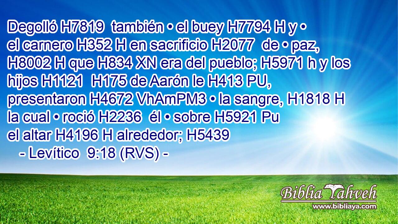 Degolló H7819  también • el buey H7794 H y • el carnero H352 H en sacrificio H2077  de • paz, H8002 H que H834 XN era del pueblo; H5971 h y los hijos H1121  H175 de Aarón le H413 PU,  presentaron H4672 VhAmPM3 • la sangre, H1818 H la cual • roció H2236  él • sobre H5921 Pu el altar H4196 H alrededor; H5439  