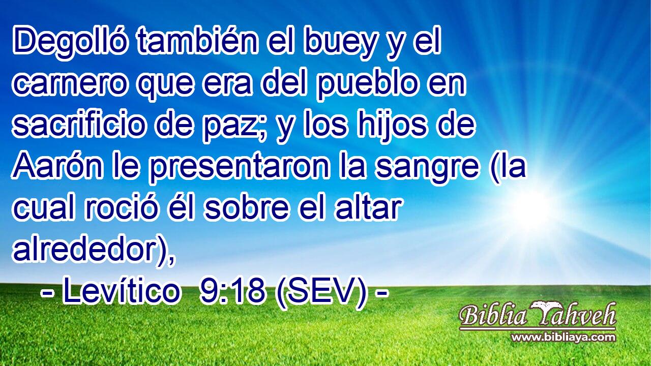 Degolló también el buey y el carnero que era del pueblo en sacrificio de paz; y los hijos de Aarón le presentaron la sangre (la cual roció él sobre el altar alrededor),