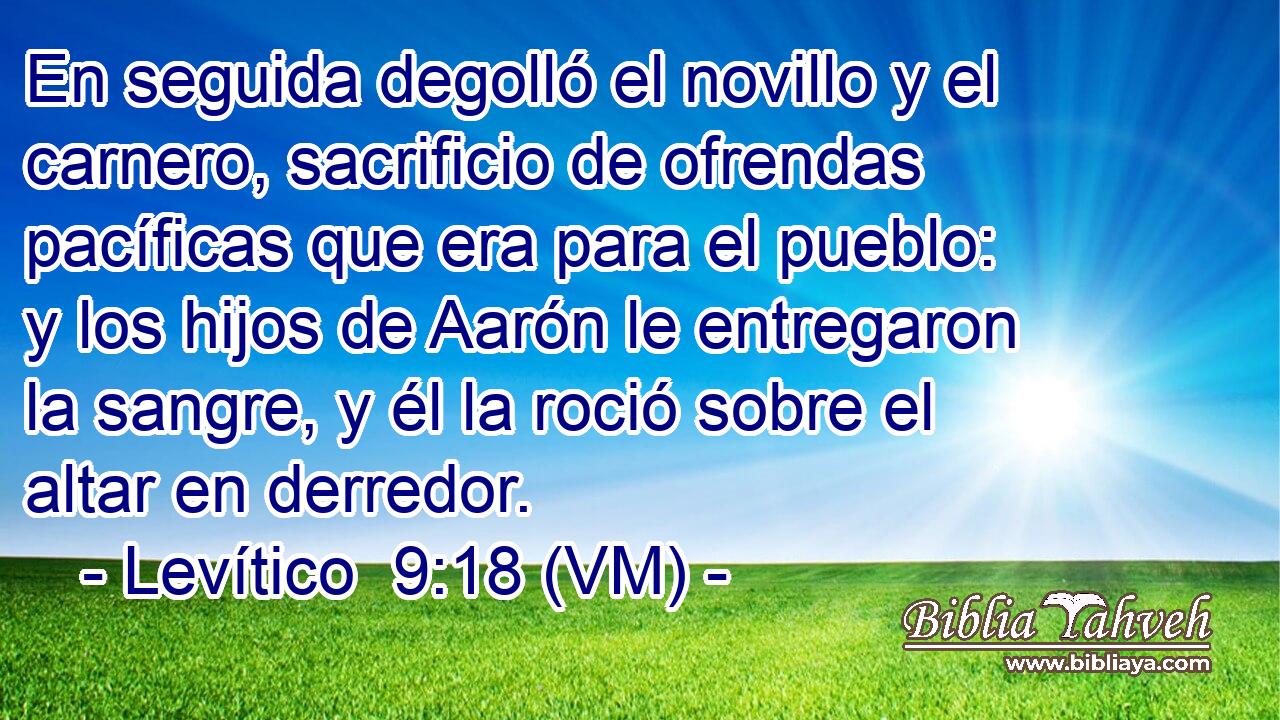  En seguida degolló el novillo y el carnero, sacrificio de ofrendas pacíficas que era para el pueblo: y los hijos de Aarón le entregaron la sangre, y él la roció sobre el altar en derredor. 
