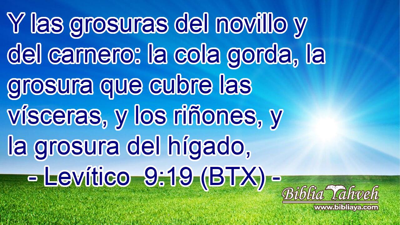 Y las grosuras del novillo y del carnero: la cola gorda, la grosura que cubre las vísceras, y los riñones, y la grosura del hígado,