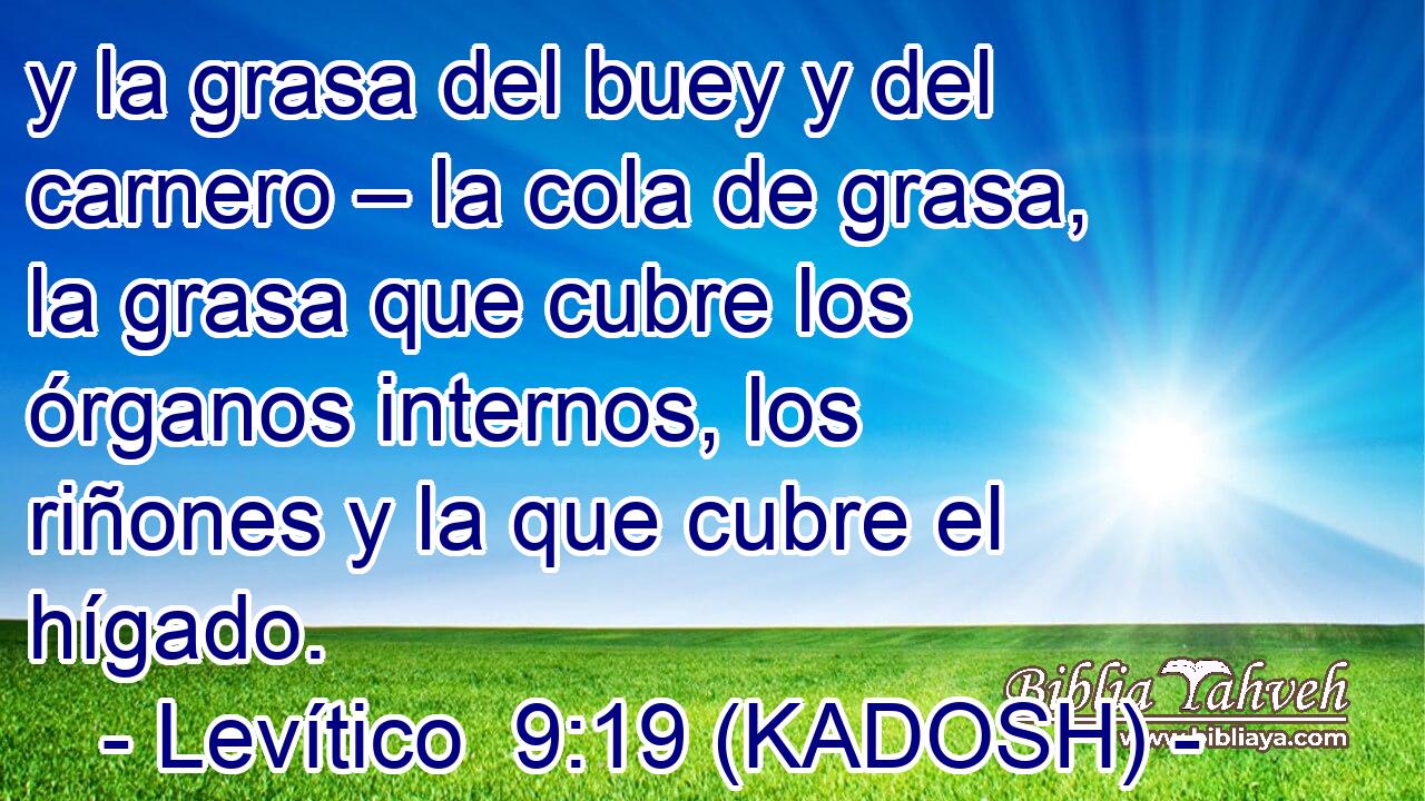  y la grasa del buey y del carnero – la cola de grasa, la grasa que cubre los órganos internos, los riñones y la que cubre el hígado. 