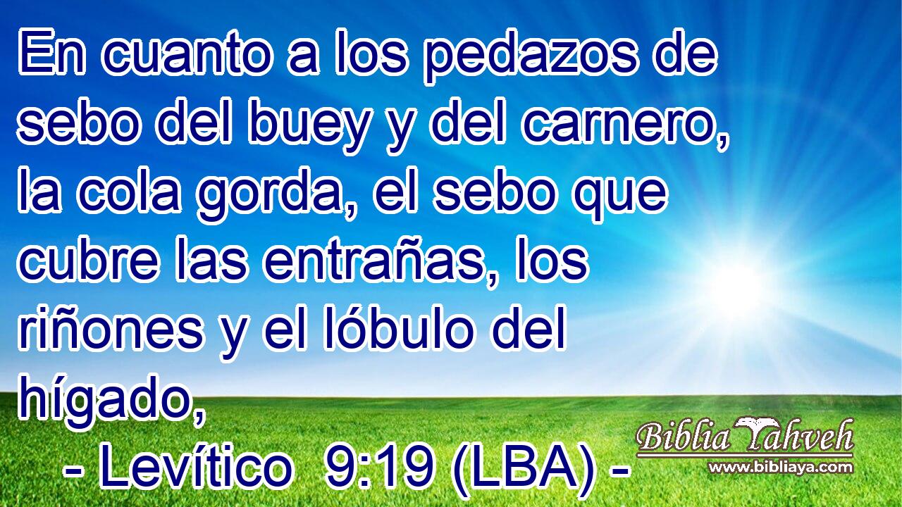 En cuanto a los pedazos de sebo del buey y del carnero, la cola gorda, el sebo que cubre las entrañas, los riñones y el lóbulo del hígado,