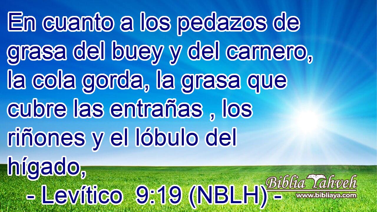  En cuanto a los pedazos de grasa del buey y del carnero, la cola gorda, la grasa que cubre las entrañas , los riñones y el lóbulo del hígado, 