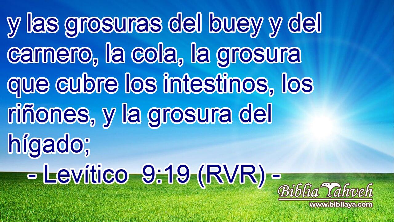 y las grosuras del buey y del carnero, la cola, la grosura que cubre los intestinos, los riñones, y la grosura del hígado;