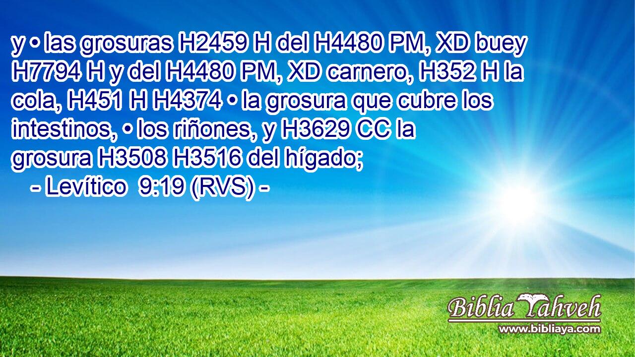 y • las grosuras H2459 H del H4480 PM, XD buey H7794 H y del H4480 PM, XD carnero, H352 H la cola, H451 H H4374 • la grosura que cubre los intestinos, • los riñones, y H3629 CC la grosura H3508 H3516 del hígado; 