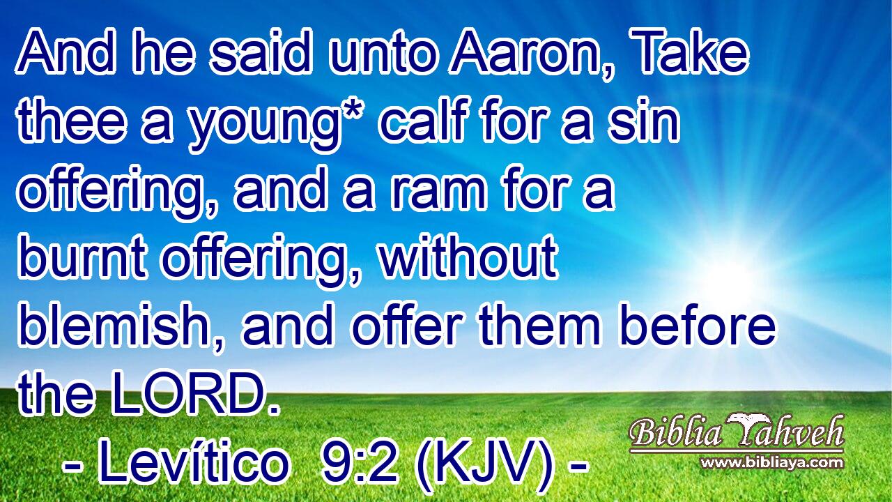 And he said unto Aaron, Take thee a young* calf for a sin offering, and a ram for a burnt offering, without blemish, and offer them before the LORD.