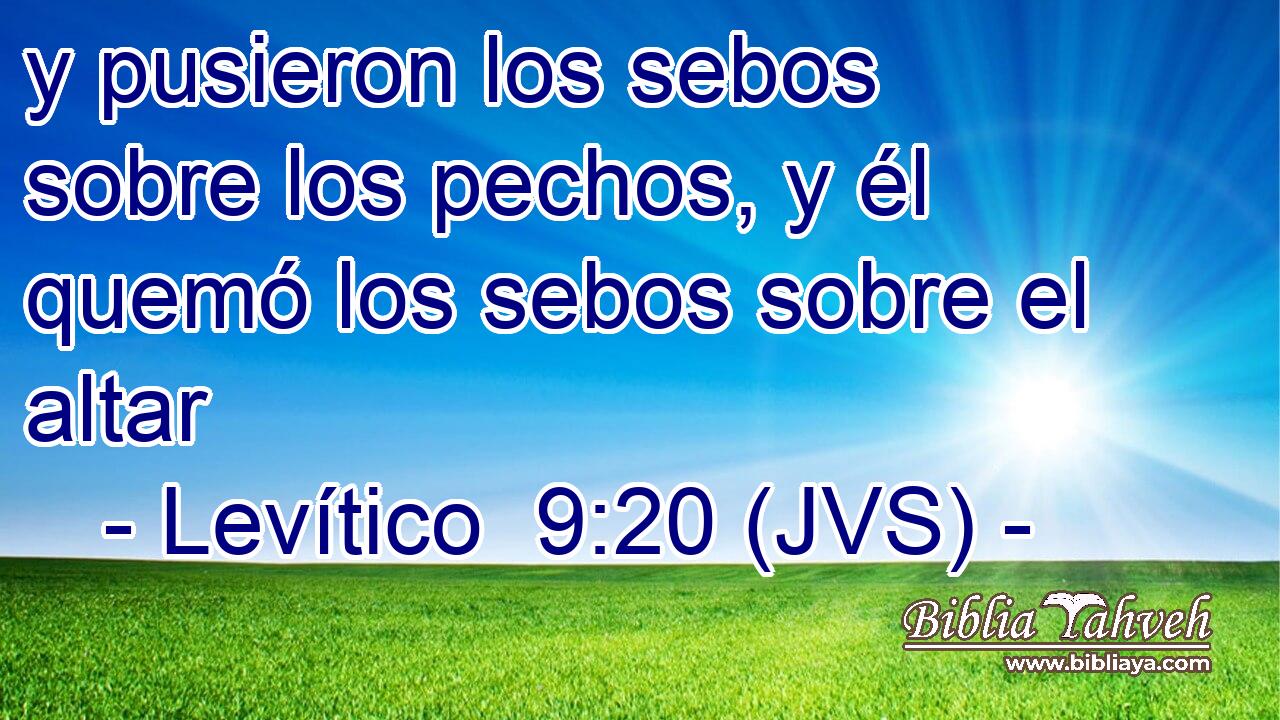 y pusieron los sebos sobre los pechos, y él quemó los sebos sobre el altar