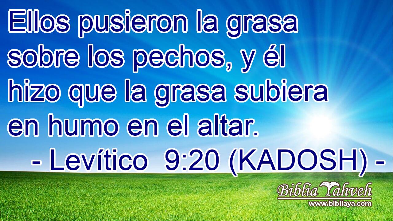  Ellos pusieron la grasa sobre los pechos, y él hizo que la grasa subiera en humo en el altar. 