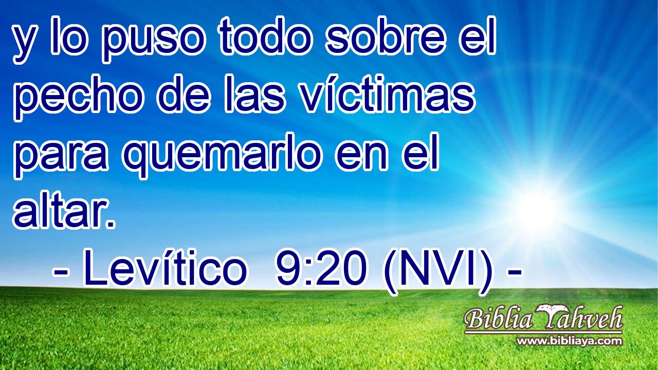  y lo puso todo sobre el pecho de las víctimas para quemarlo en el altar. 