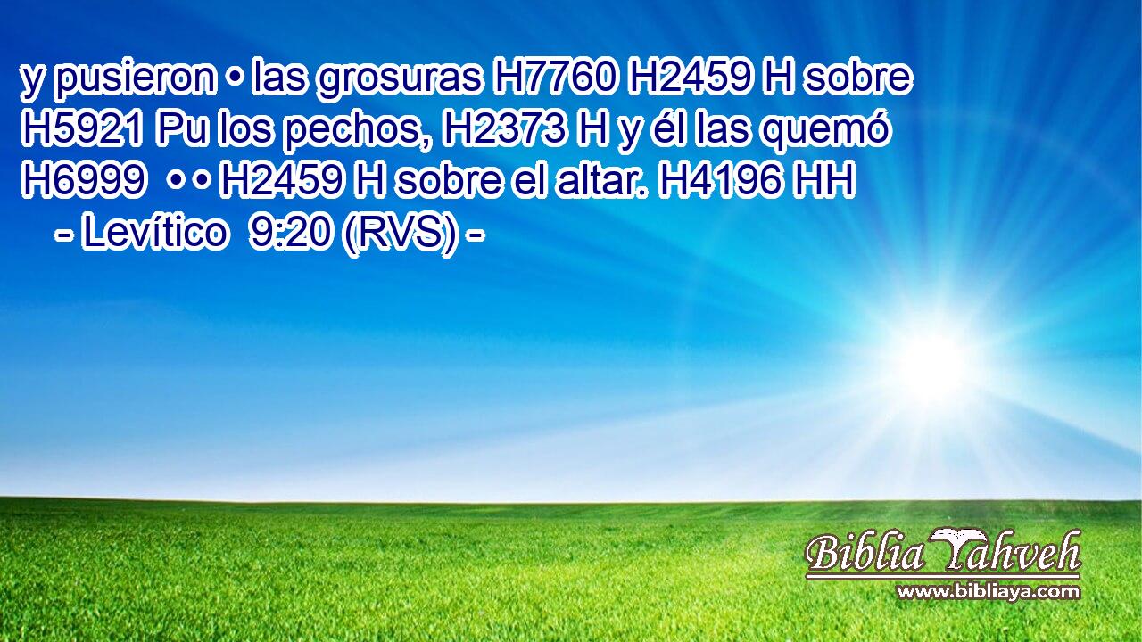 y pusieron • las grosuras H7760 H2459 H sobre H5921 Pu los pechos, H2373 H y él las quemó H6999  • • H2459 H sobre el altar. H4196 HH 