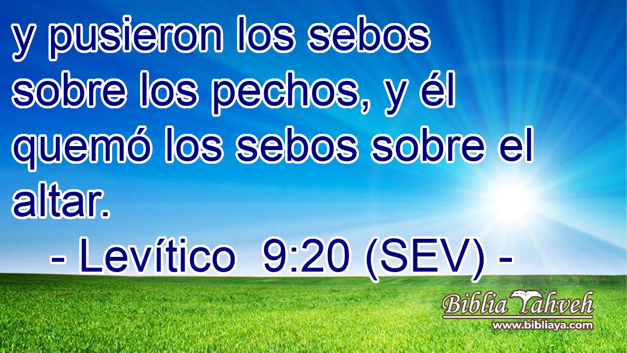 y pusieron los sebos sobre los pechos, y él quemó los sebos sobre el altar.