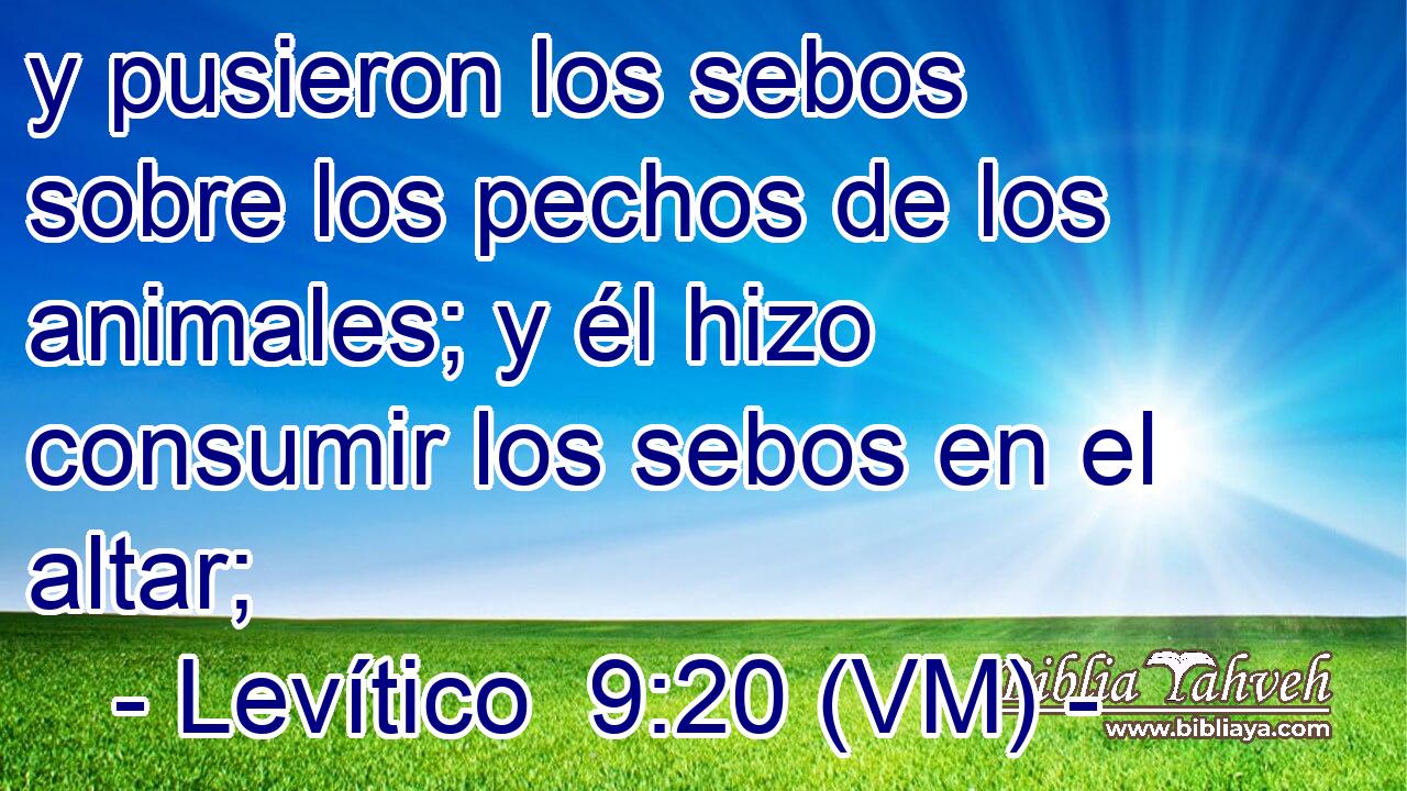  y pusieron los sebos sobre los pechos de los animales; y él hizo consumir los sebos en el altar; 