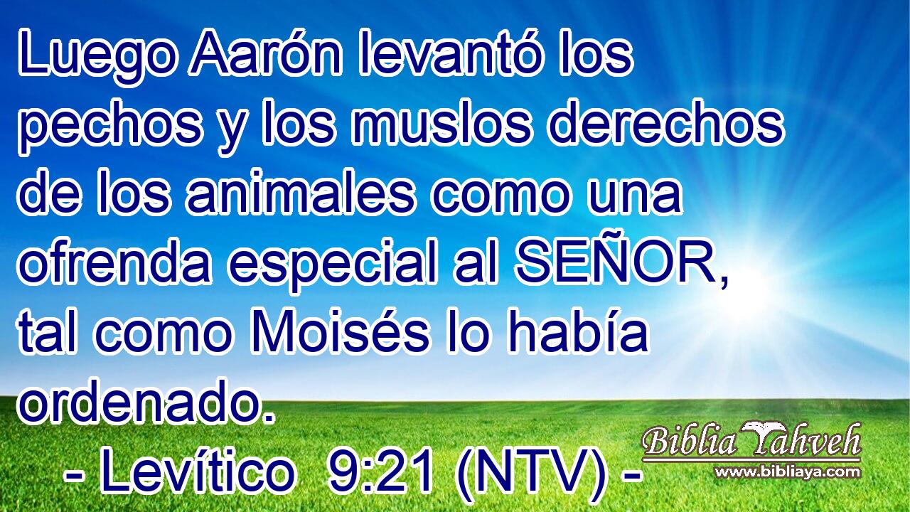 Luego Aarón levantó los pechos y los muslos derechos de los animales como una ofrenda especial al SEÑOR, tal como Moisés lo había ordenado.