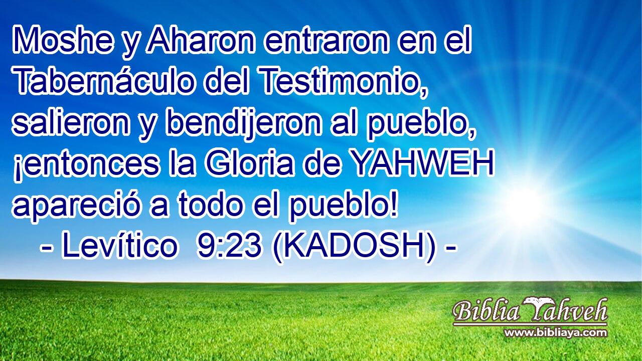  Moshe y Aharon entraron en el Tabernáculo del Testimonio, salieron y bendijeron al pueblo, ¡entonces la Gloria de YAHWEH apareció a todo el pueblo! 