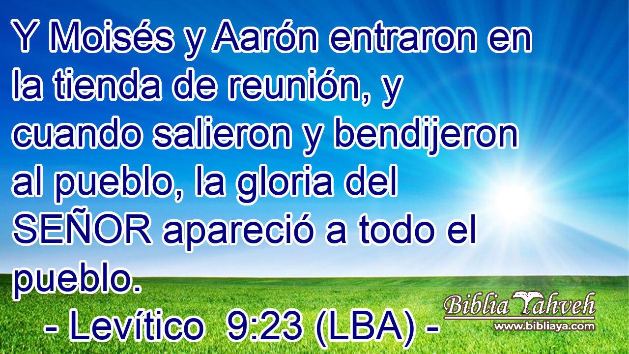 Y Moisés y Aarón entraron en la tienda de reunión, y cuando salieron y bendijeron al pueblo, la gloria del SEÑOR apareció a todo el pueblo.