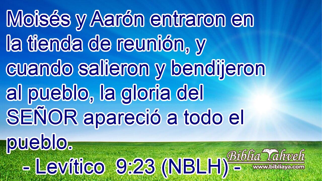  Moisés y Aarón entraron en la tienda de reunión, y cuando salieron y bendijeron al pueblo, la gloria del SEÑOR apareció a todo el pueblo. 