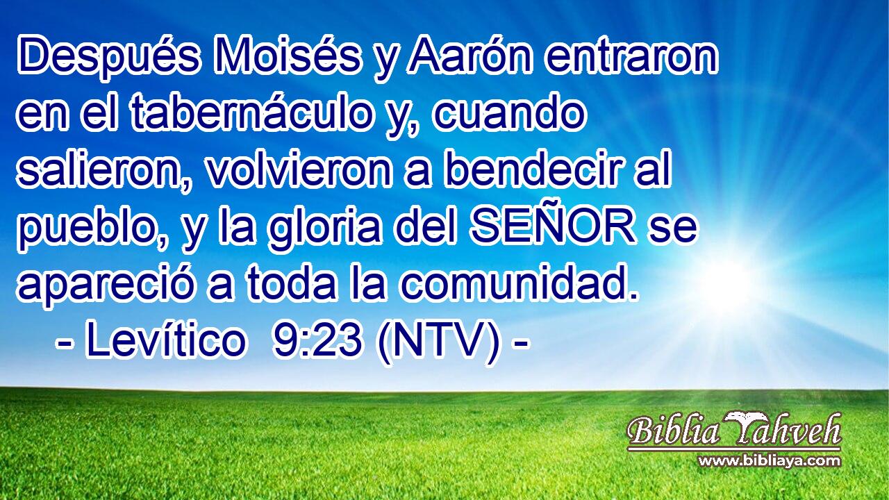 Después Moisés y Aarón entraron en el tabernáculo y, cuando salieron, volvieron a bendecir al pueblo, y la gloria del SEÑOR se apareció a toda la comunidad.