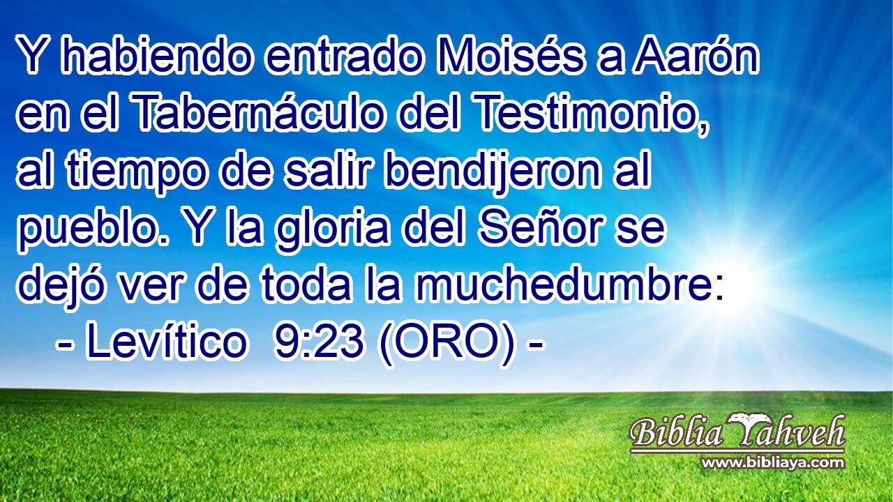  Y habiendo entrado Moisés a Aarón en el Tabernáculo del Testimonio, al tiempo de salir bendijeron al pueblo. Y la gloria del Señor se dejó ver de toda la muchedumbre: 