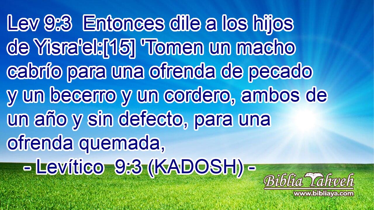  Entonces dile a los hijos de Yisra'el:[15] 'Tomen un macho cabrío para una ofrenda de pecado y un becerro y un cordero, ambos de un año y sin defecto, para una ofrenda quemada, 