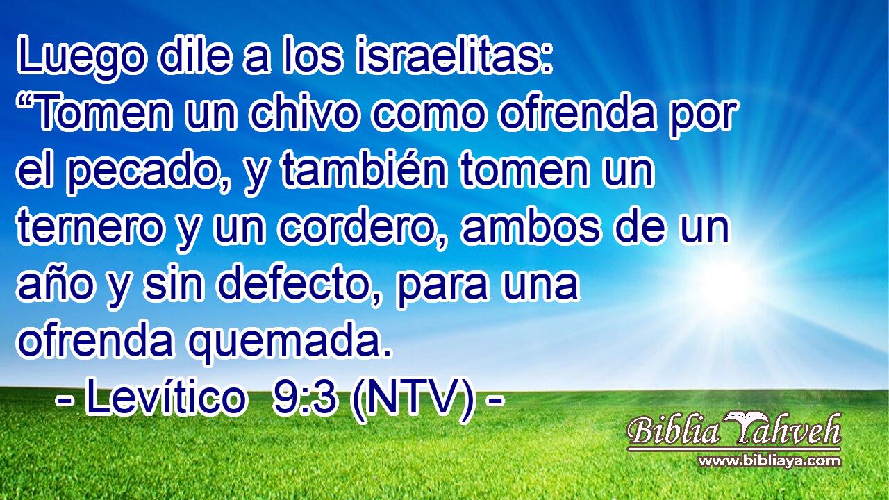 Luego dile a los israelitas: “Tomen un chivo como ofrenda por el pecado, y también tomen un ternero y un cordero, ambos de un año y sin defecto, para una ofrenda quemada.