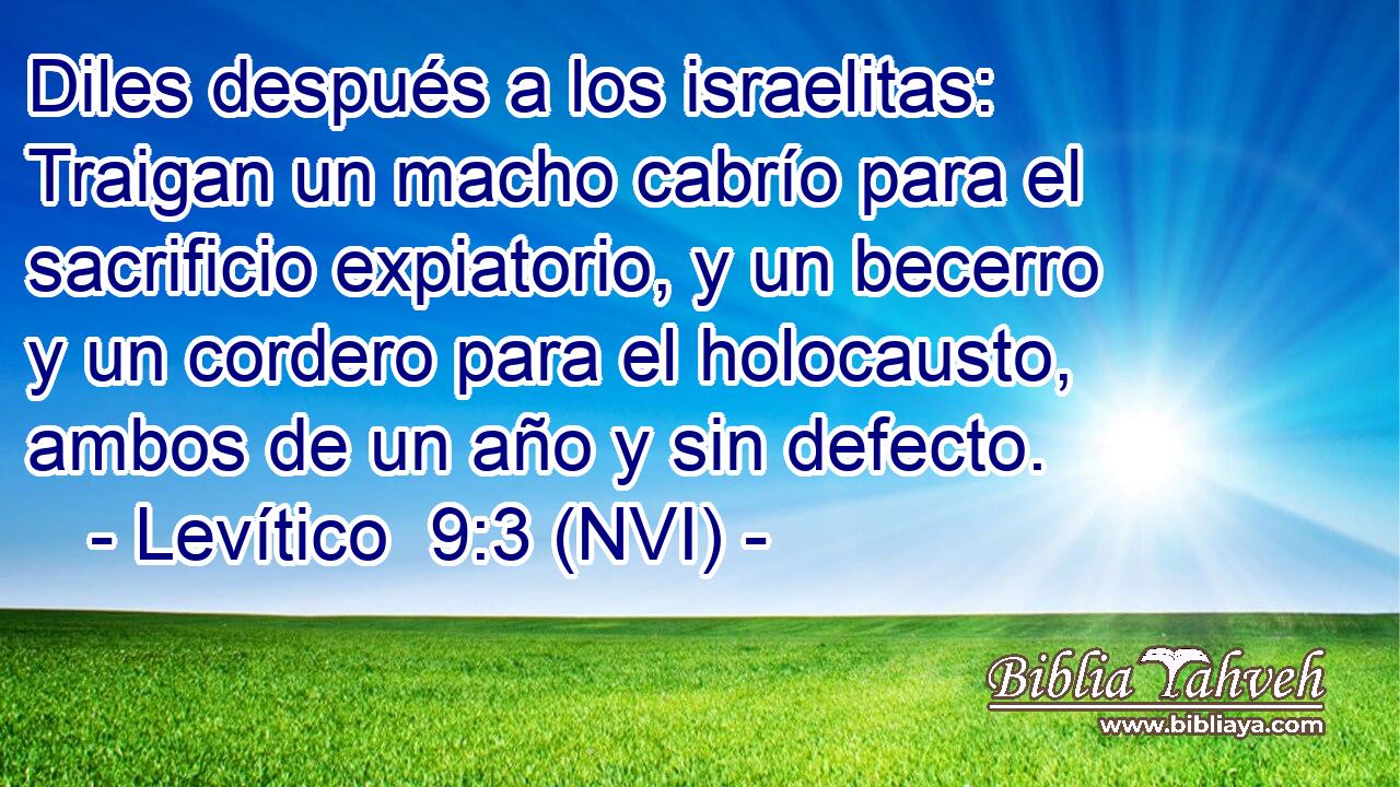  Diles después a los israelitas: Traigan un macho cabrío para el sacrificio expiatorio, y un becerro y un cordero para el holocausto, ambos de un año y sin defecto. 