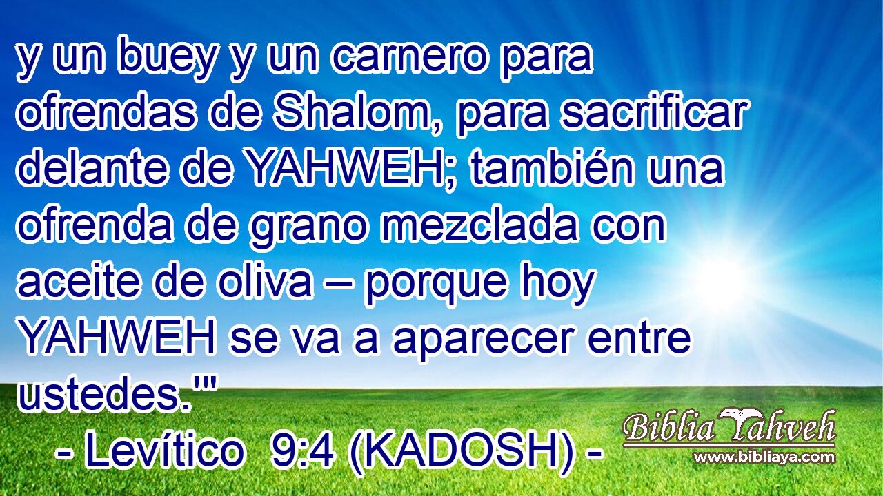  y un buey y un carnero para ofrendas de Shalom, para sacrificar delante de YAHWEH; también una ofrenda de grano mezclada con aceite de oliva – porque hoy YAHWEH se va a aparecer entre ustedes.'