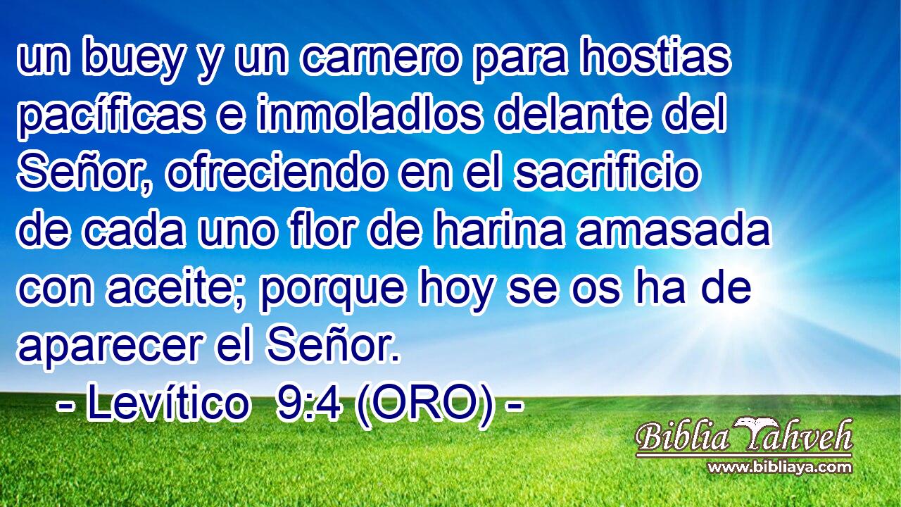 un buey y un carnero para hostias pacíficas e inmoladlos delante del Señor, ofreciendo en el sacrificio de cada uno flor de harina amasada con aceite; porque hoy se os ha de aparecer el Señor. 