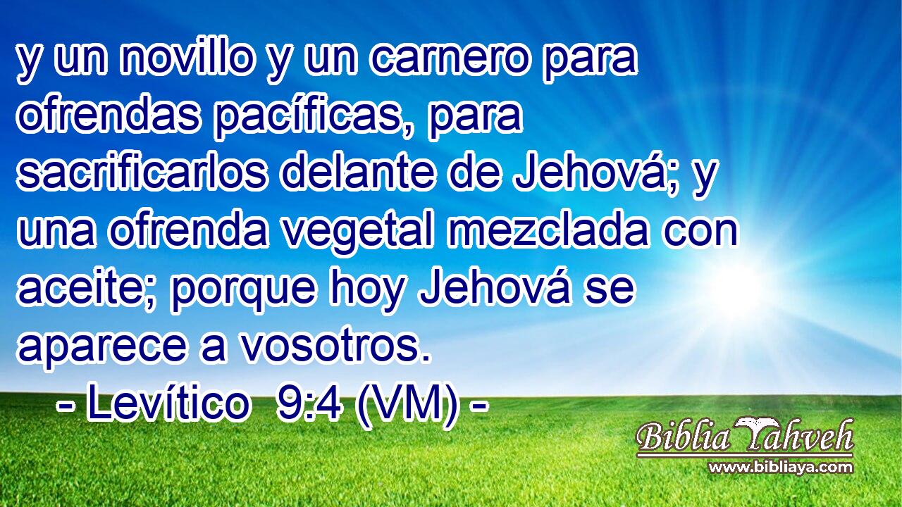  y un novillo y un carnero para ofrendas pacíficas, para sacrificarlos delante de Jehová; y una ofrenda vegetal mezclada con aceite; porque hoy Jehová se aparece a vosotros. 