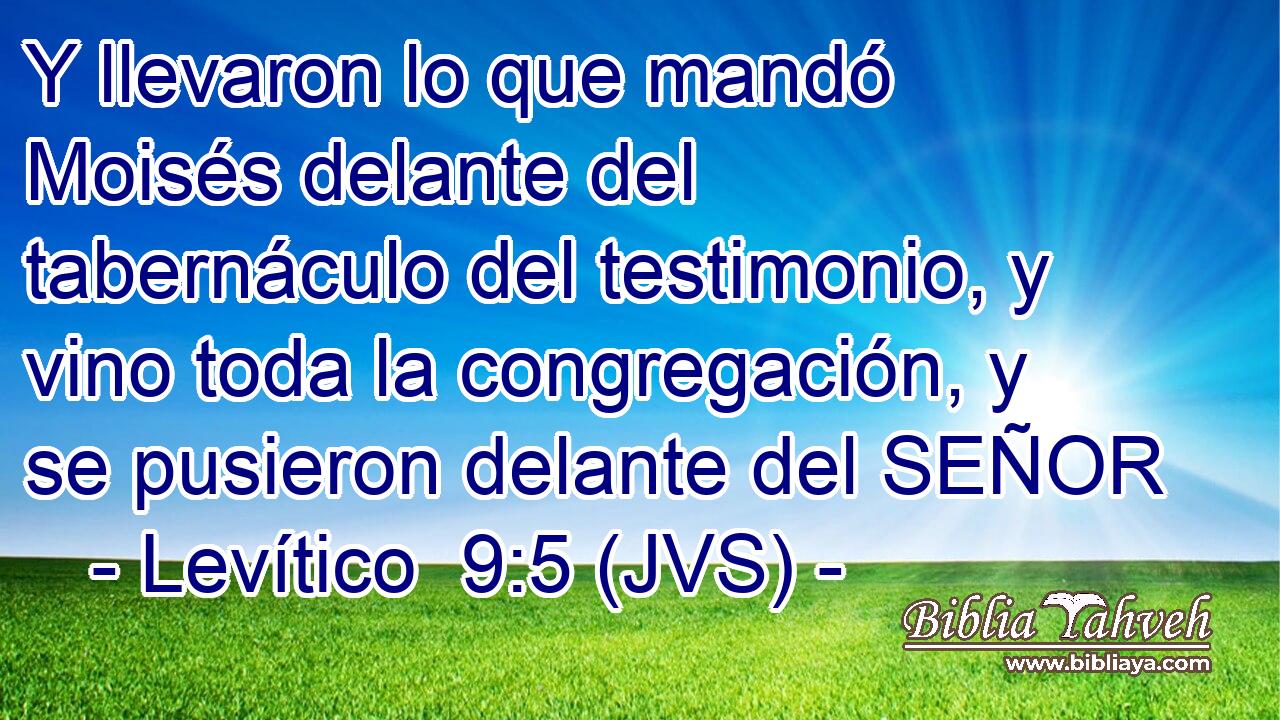 Y llevaron lo que mandó Moisés delante del tabernáculo del testimonio, y vino toda la congregación, y se pusieron delante del SEÑOR