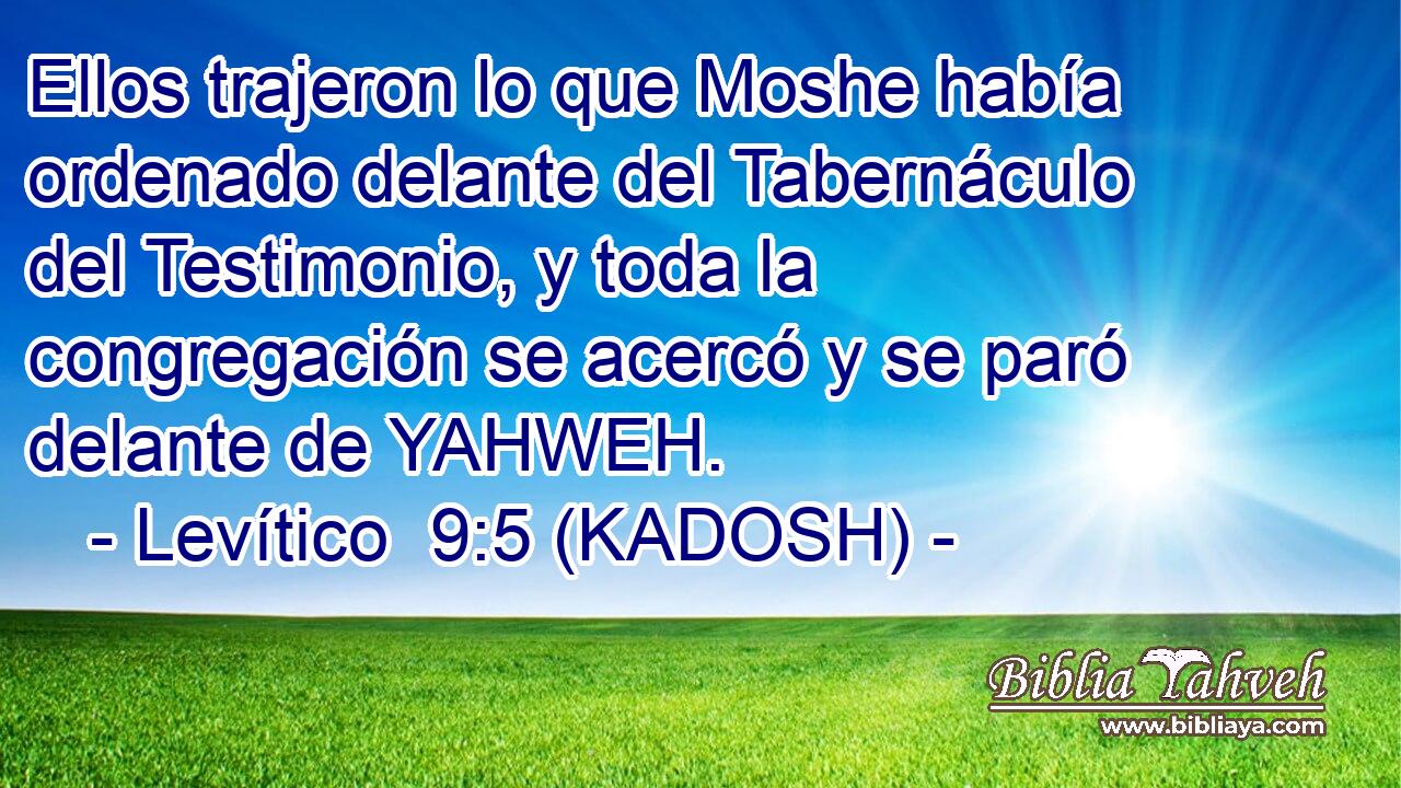  Ellos trajeron lo que Moshe había ordenado delante del Tabernáculo del Testimonio, y toda la congregación se acercó y se paró delante de YAHWEH. 