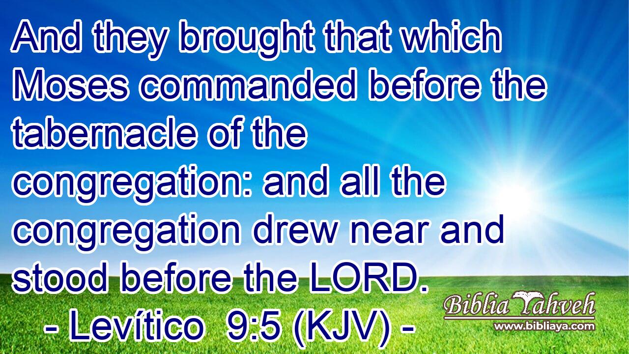 And they brought that which Moses commanded before the tabernacle of the congregation: and all the congregation drew near and stood before the LORD.