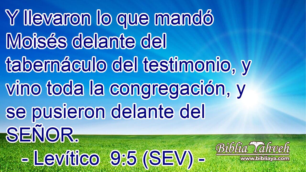 Y llevaron lo que mandó Moisés delante del tabernáculo del testimonio, y vino toda la congregación, y se pusieron delante del SEÑOR.