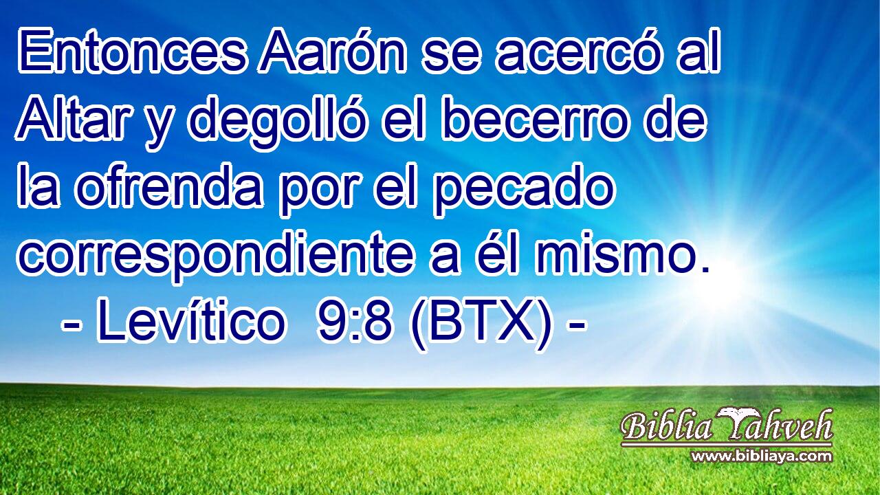 Entonces Aarón se acercó al Altar y degolló el becerro de la ofrenda por el pecado correspondiente a él mismo.