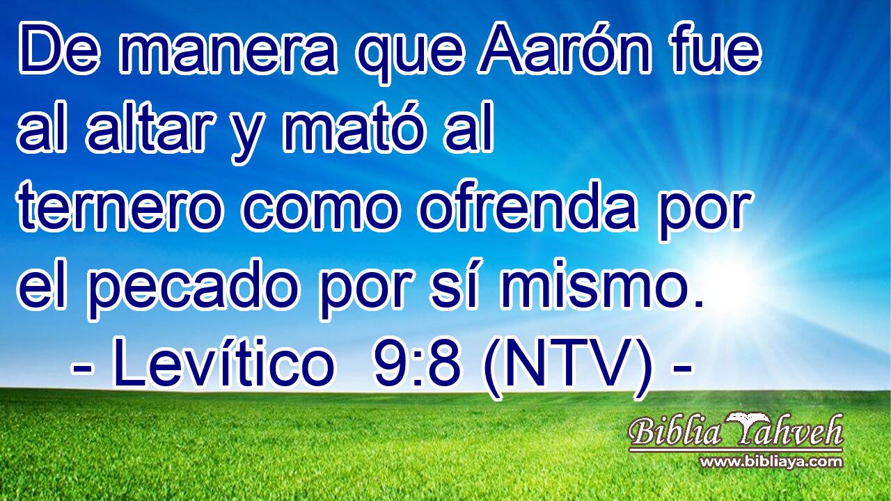 De manera que Aarón fue al altar y mató al ternero como ofrenda por el pecado por sí mismo.
