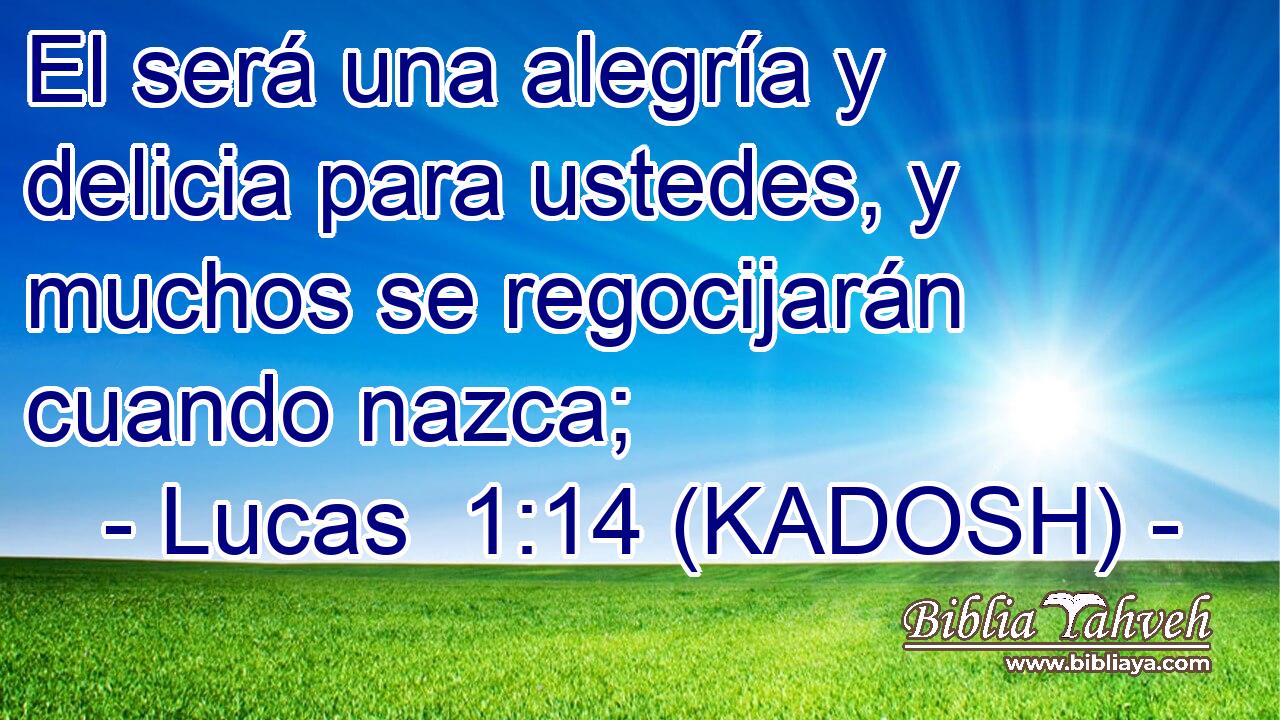  El será una alegría y delicia para ustedes, y muchos se regocijarán cuando nazca; 