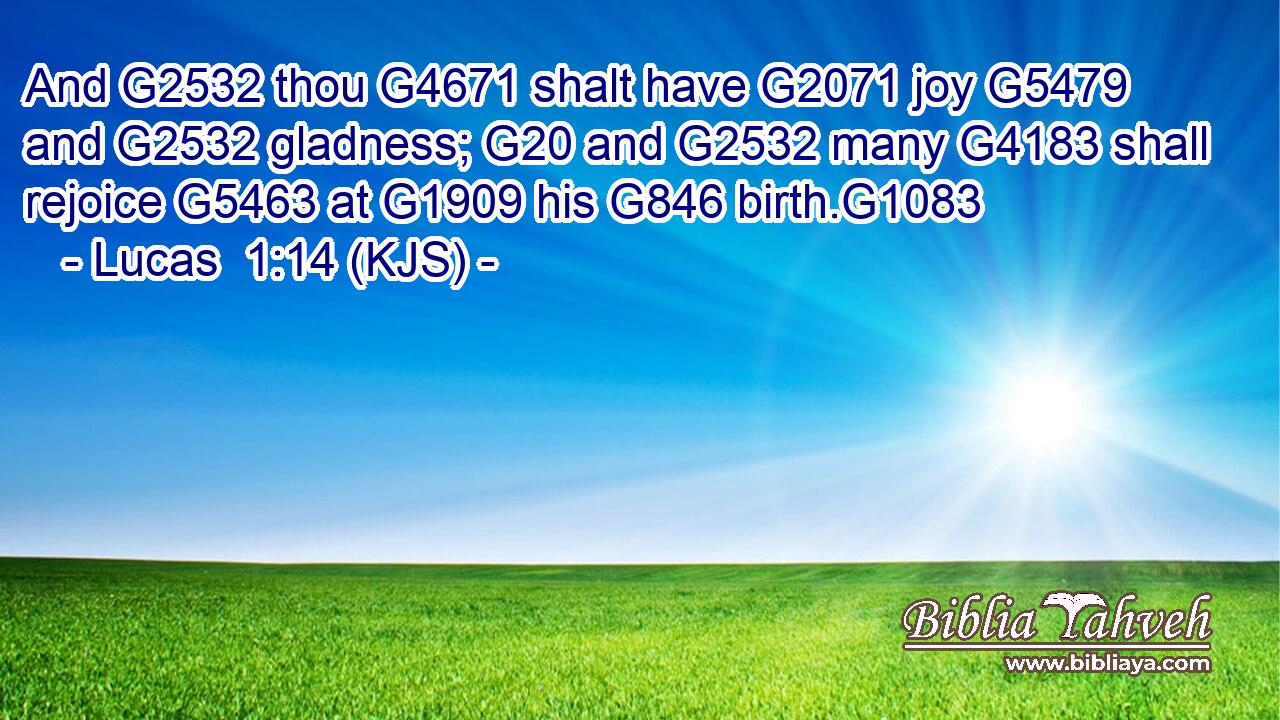 And G2532 thou G4671 shalt have G2071 joy G5479 and G2532 gladness; G20 and G2532 many G4183 shall rejoice G5463 at G1909 his G846 birth.G1083
