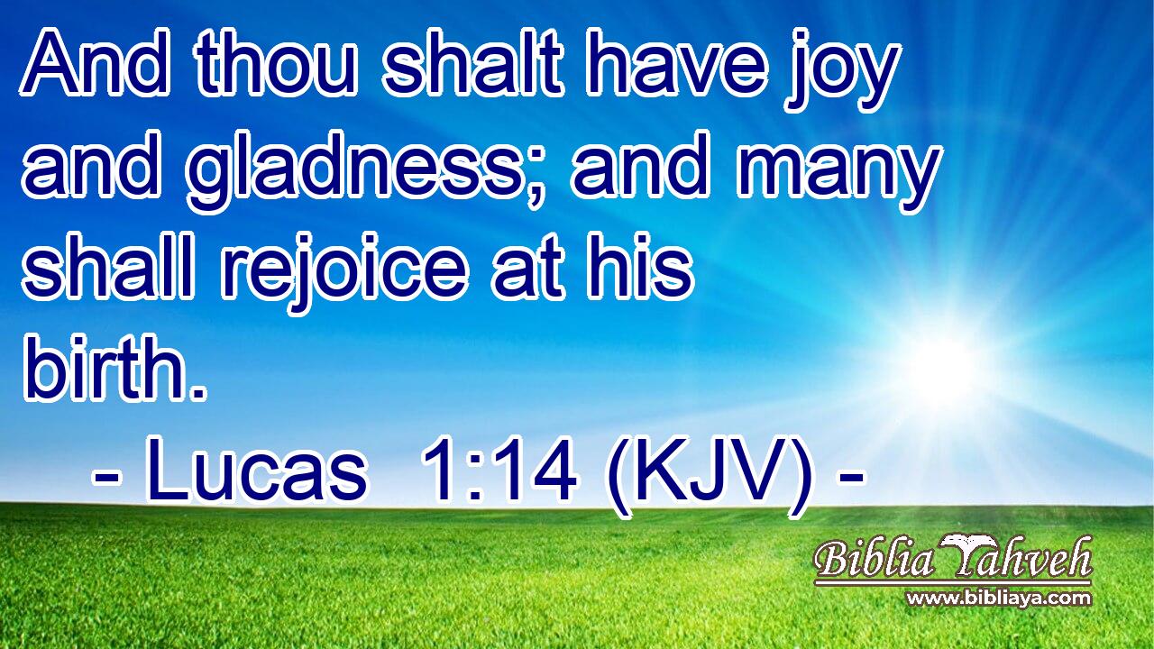 And thou shalt have joy and gladness; and many shall rejoice at his birth.